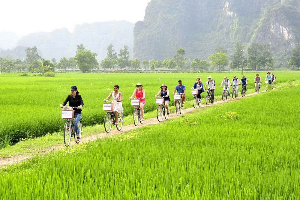 ninh-binh-bike-tour