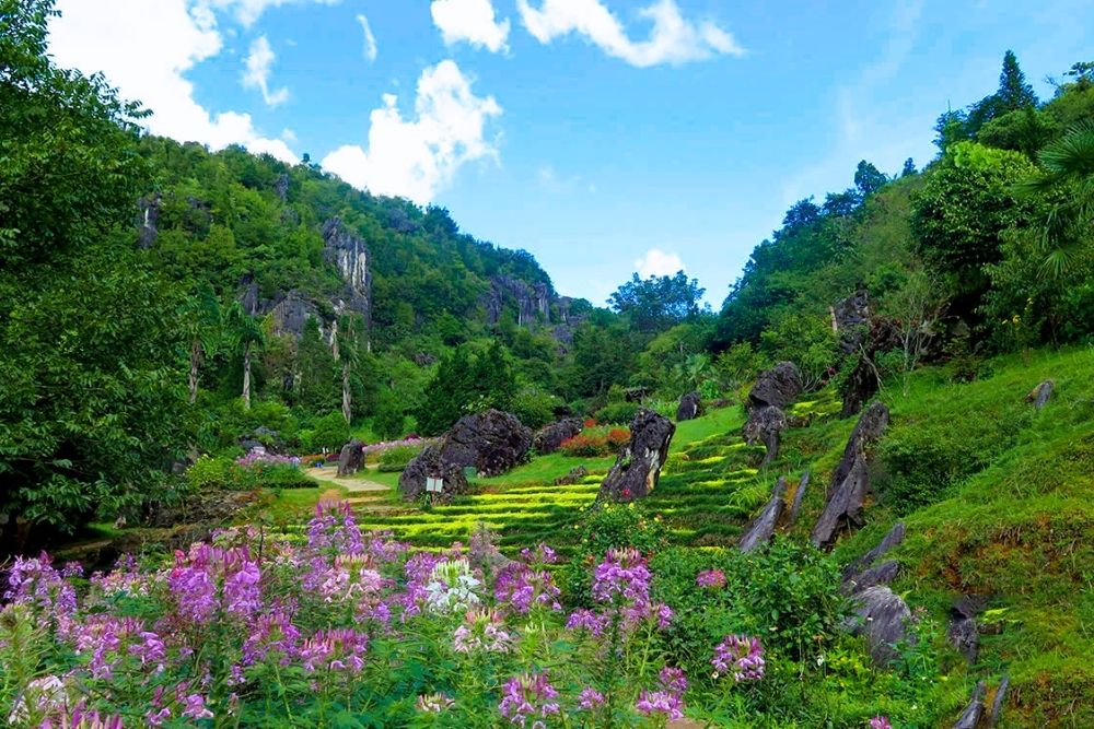 Ham Rong Mountain Sapa. Frequently Asked Questions