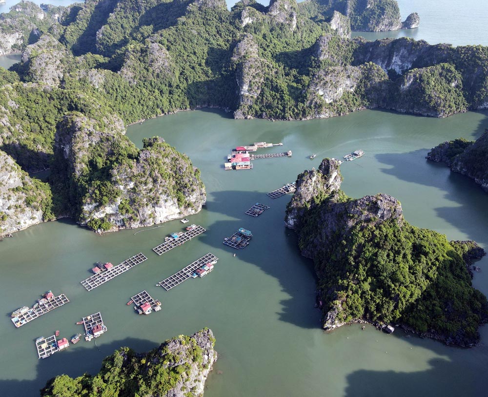 Bai Tu Long Bay. Things to Do in Bai Tu Long Bay. Cruising and Island Hopping
