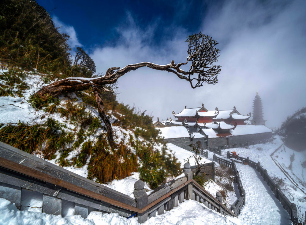 Best Time to Go to Sapa Vietnam: A Seasonal Guide