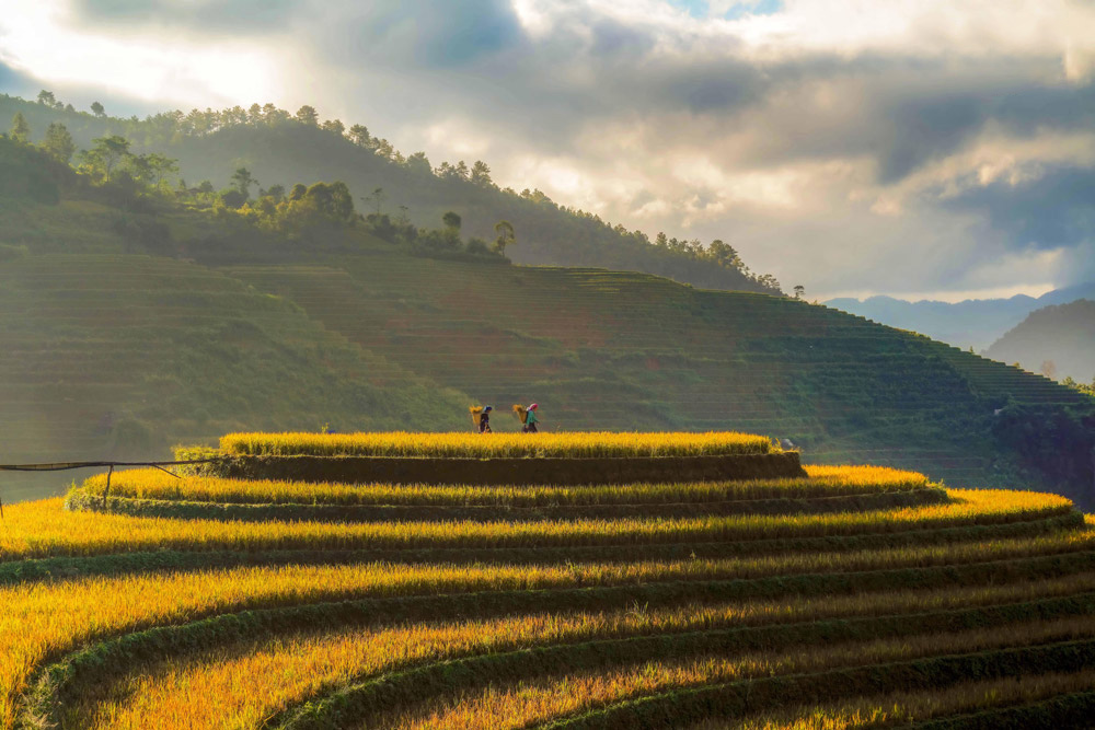 Best time to visit Halong Bay. Combining Halong Bay with Other Destinations. Best Time to Visit Sapa and Halong Bay