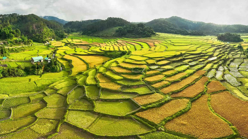 Central highlands in Vietnam journey