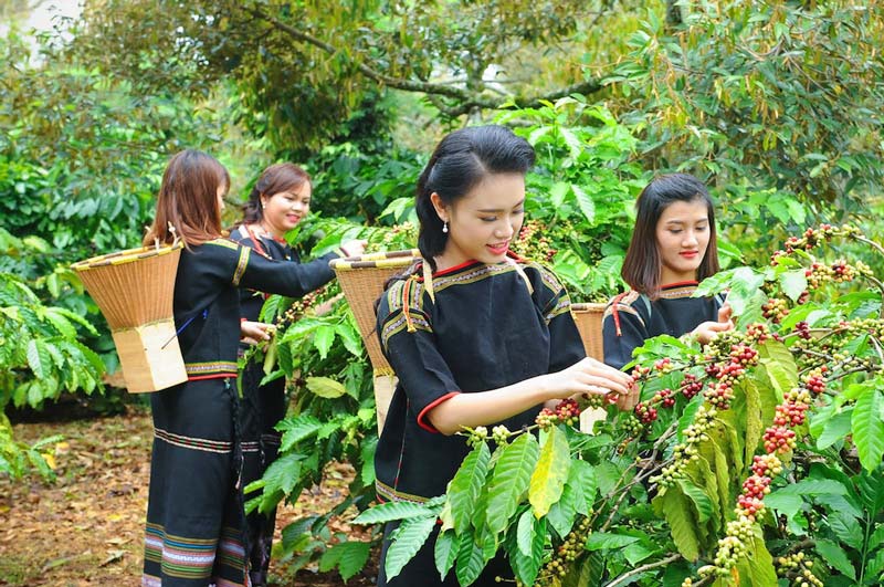 Central highlands in Vietnam specialities