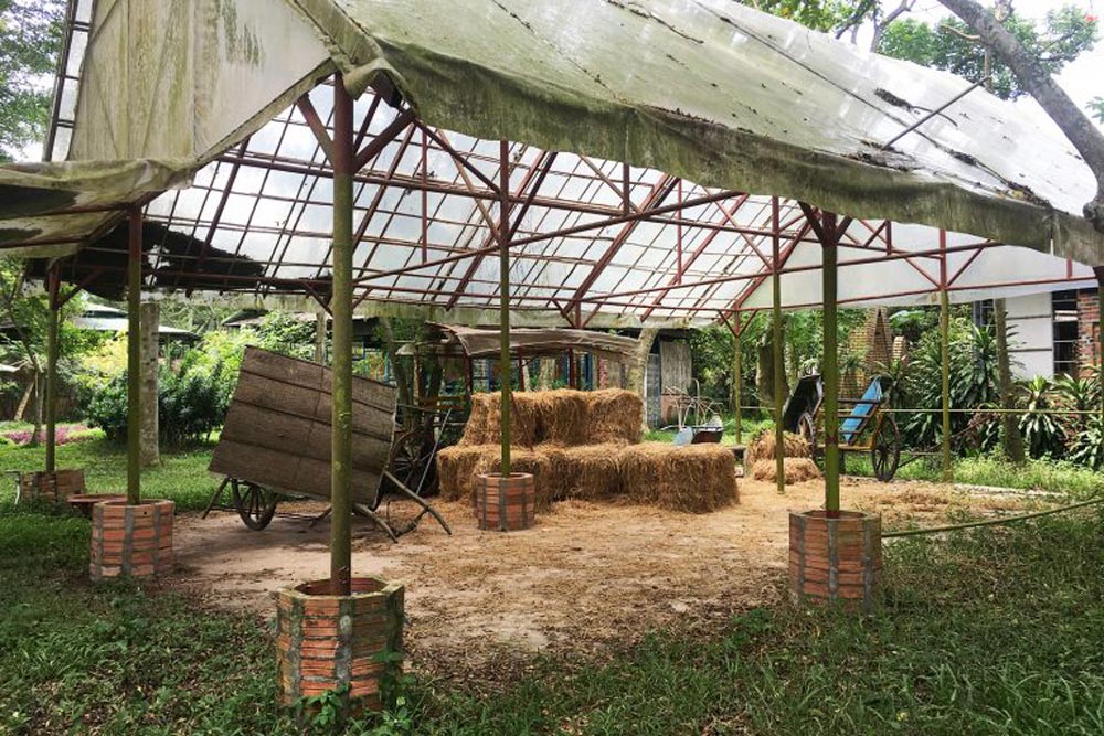 Cu Chi Tunnel. Are the Cu Chi Tunnels Worth Visiting? (A Balanced Perspective)