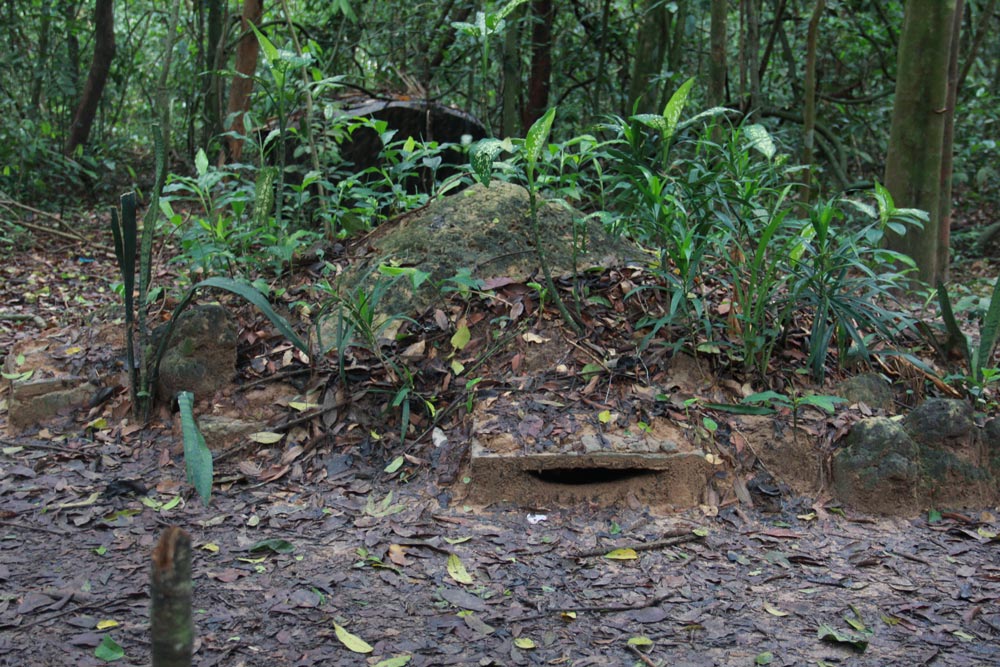 Cu Chi Tunnel. Visiting the Cu Chi Tunnels: What to Expect