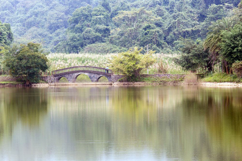 Cuc Phuong national park. Cuc Phuong National Park: A Treasure Trove of Biodiversity. Location and Significance