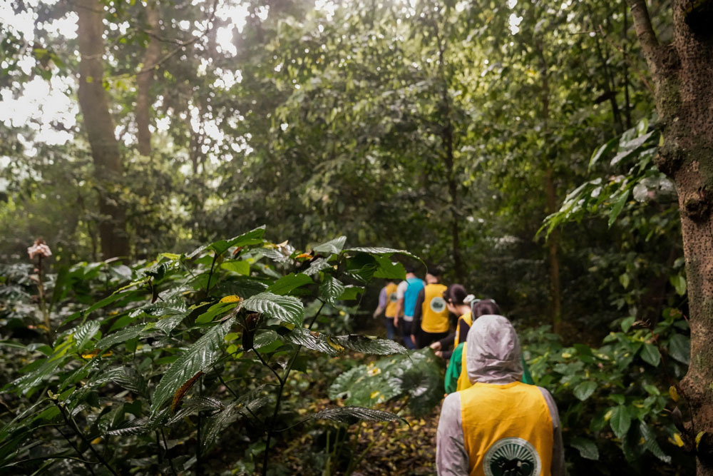 Cuc Phuong national park. Exploring Cuc Phuong National Park. Hiking and Trekking