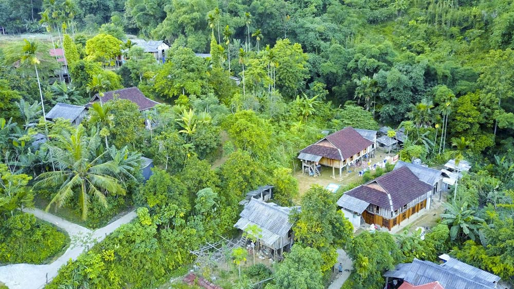 Cuc Phuong national park. Planning Your Visit to Cuc Phuong National Park. Cuc Phuong National Park Accommodation
