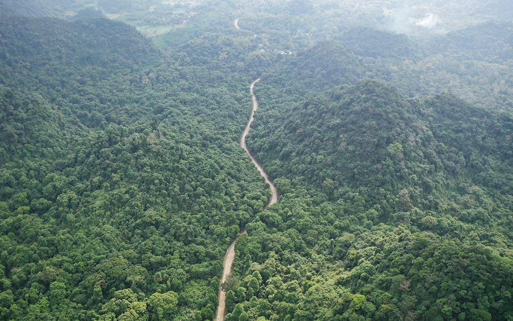 Cuc Phuong national park. Planning Your Visit to Cuc Phuong National Park. Cuc Phuong National Park Entrance Fee / How Much is the Entry Fee for Cuc Phuong?