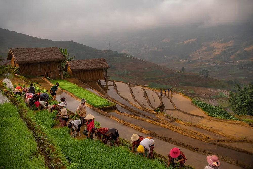 Eco Palms House. Activities: More Than Just Sleep