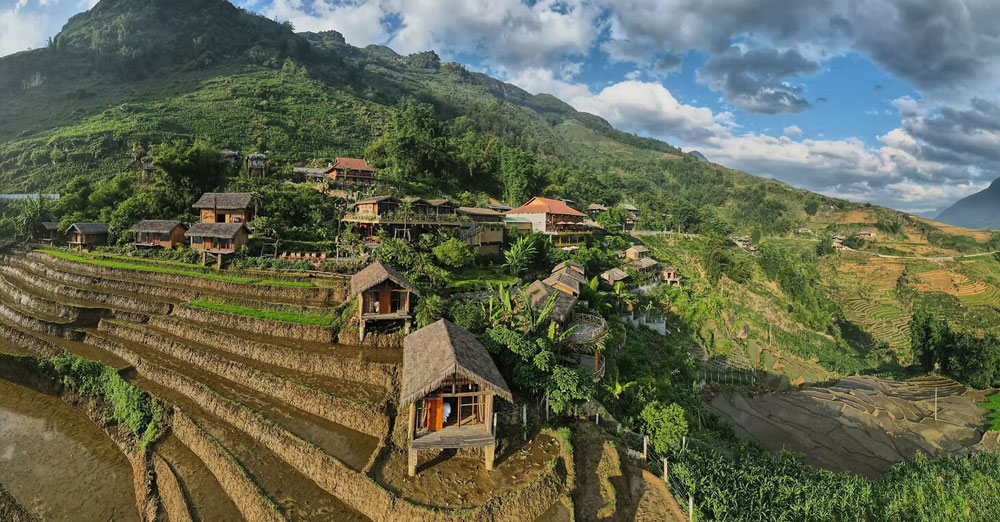 Eco Palms House. Introduction