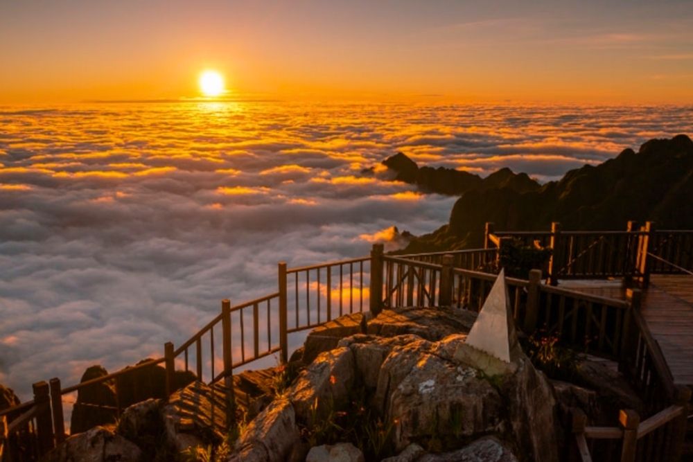 Fansipan Sapa. Summit Sights: What to do in Fansipan Sapa. Cloud Hunting