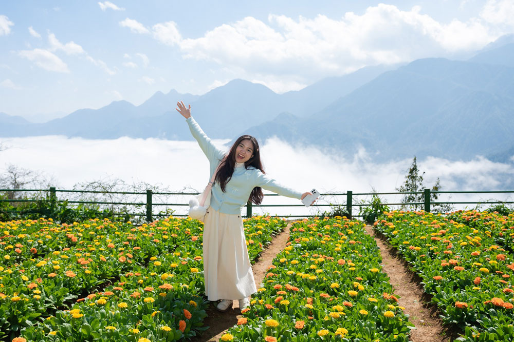 Flights Ho Chi Minh City to Sapa. Connect the South to the North Seamlessly