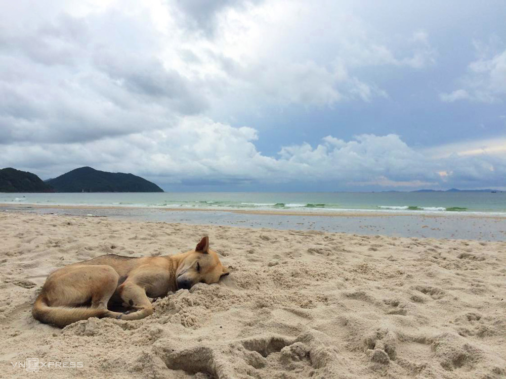 Halong Bay beach. Popular Beaches in Halong Bay. Quan Lan Beach