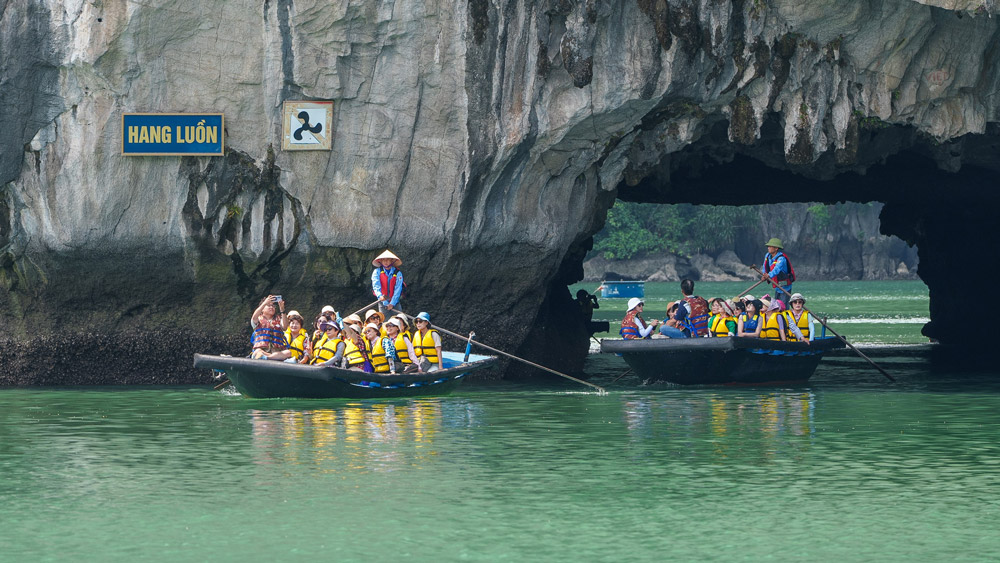 Explore the Magic: Halong Bay's Caves