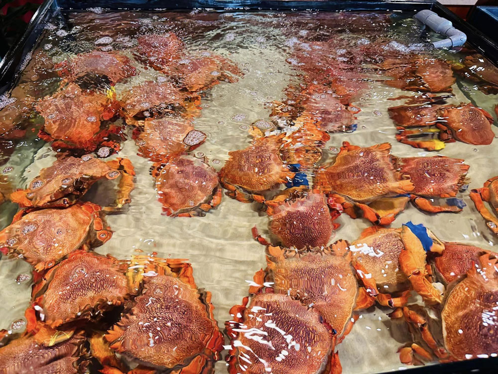 Halong Cruise. Fresh seafood experience