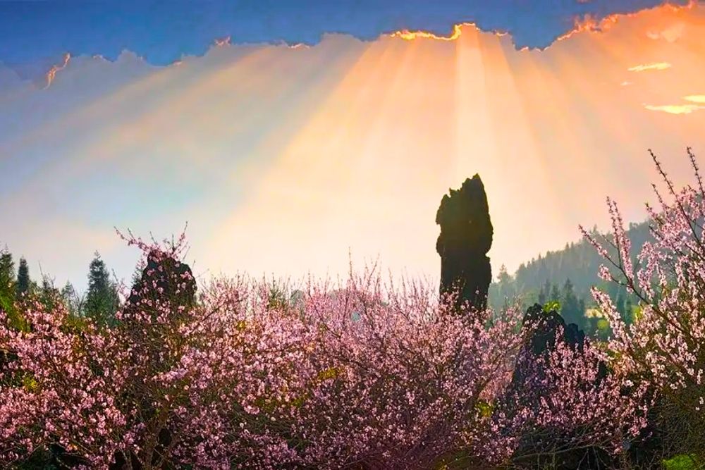 Ham Rong Mountain Sapa. Conclusion 