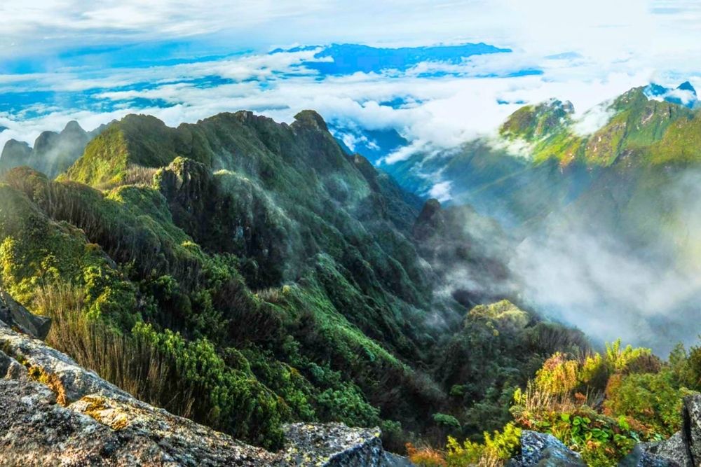 Ham Rong Mountain Sapa. Planning Your Ham Rong Mountain Sapa Hike