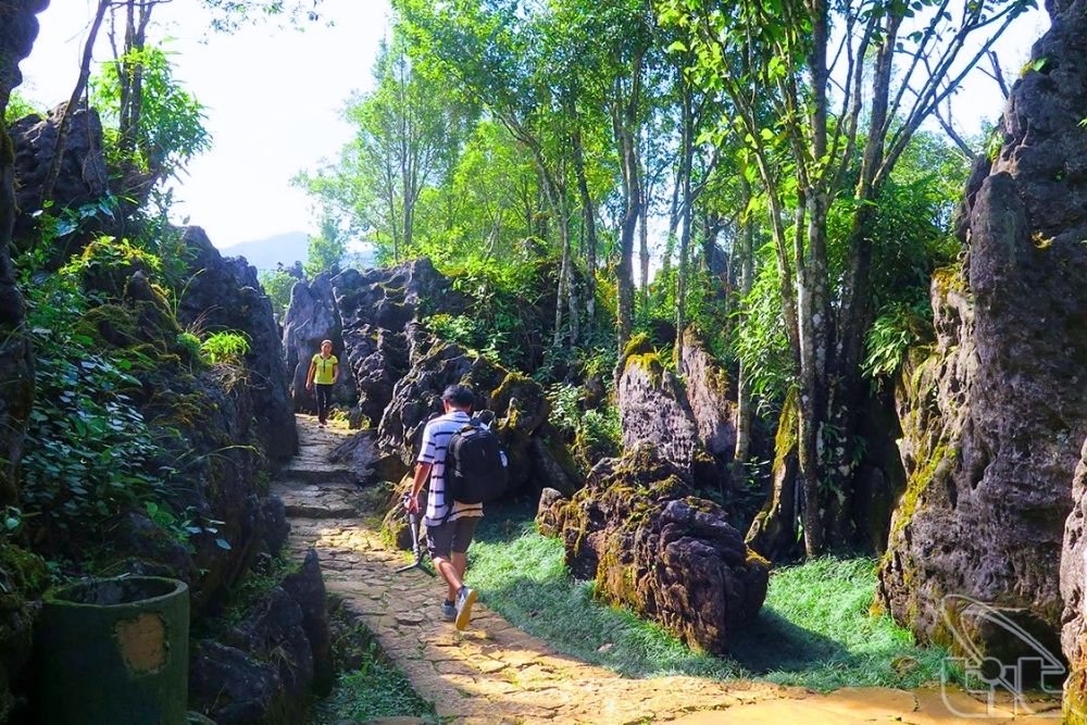 Ham Rong Mountain Sapa. Real Traveler Insights: Ham Rong Mountain Sapa Reviews