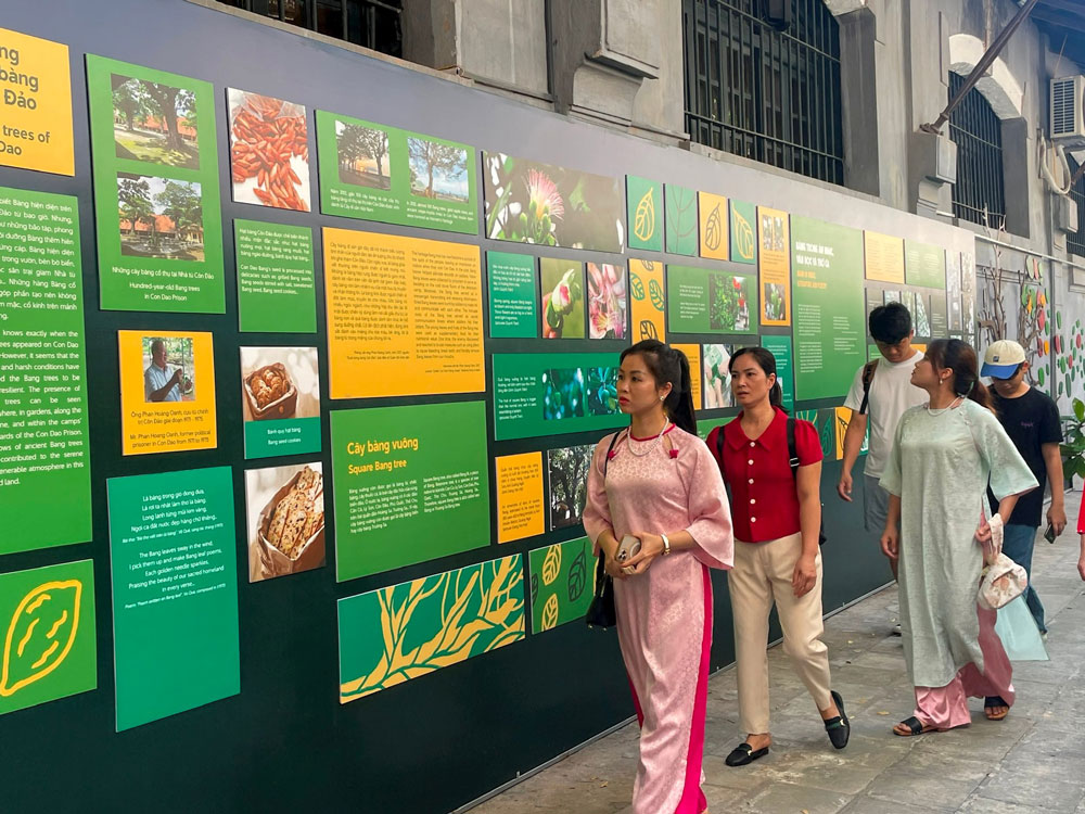 Hanoi Prison. Inside the Museum: Exhibits and Artifacts