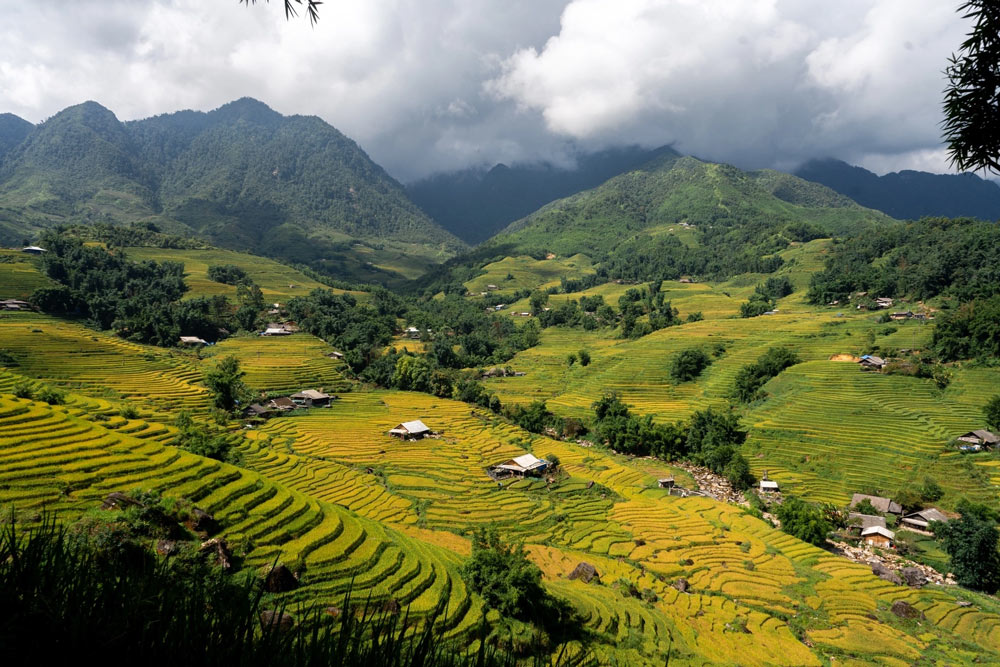 Hanoi Sapa Itinerary 6 Days. The Ultimate 6-Day Itinerary Breakdown