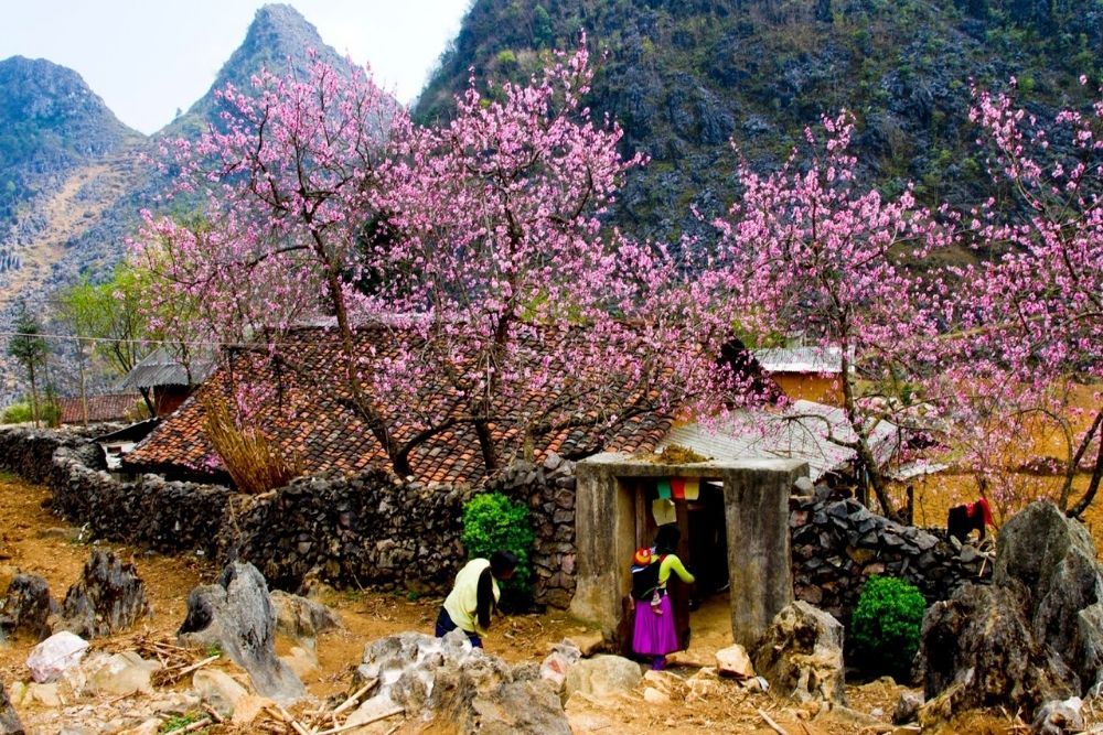 Hanoi to Sapa by car. Hanoi Airport to Sapa: Skip the City Chaos 