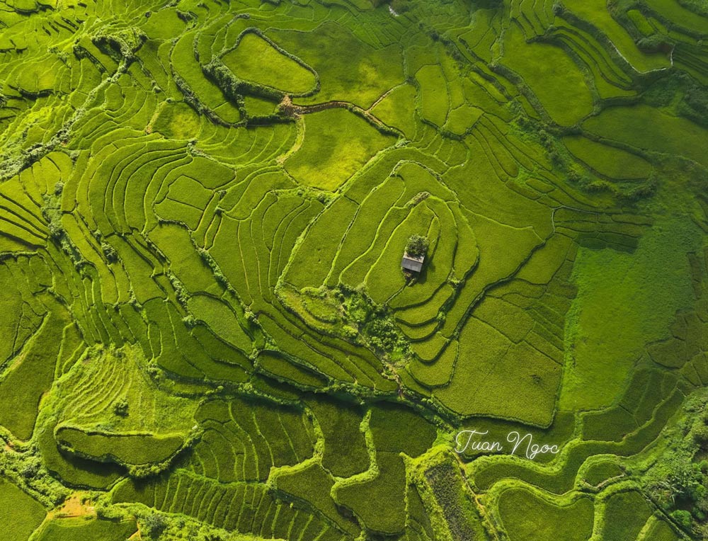 Highland Resort Sapa. Location: The “Thac Bac” Hilltop