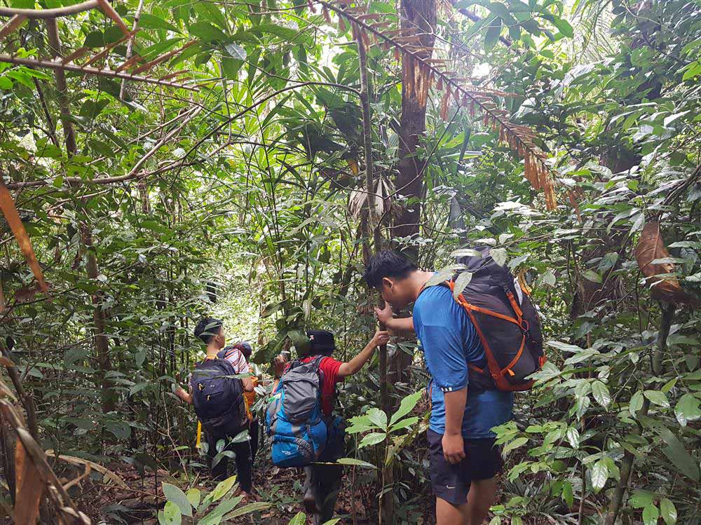 Hiking in Vietnam. Choosing the right hiking tour