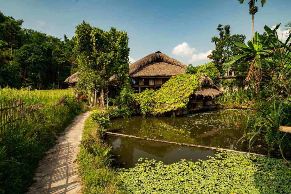 Homestay Vietnam: Guidance for Travelers