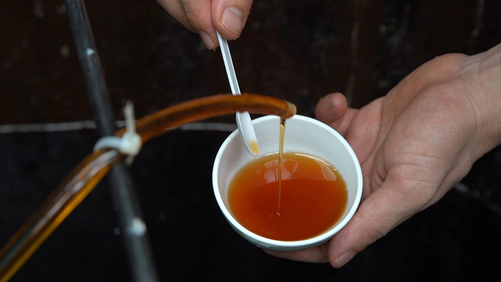 Indian Restaurant Da Nang. The Fish Sauce Problem