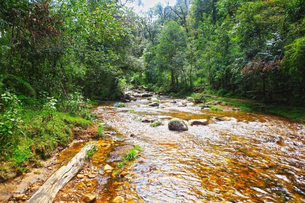 Love Waterfall Sapa. The Experience: Swimming and Traveler Feedback
