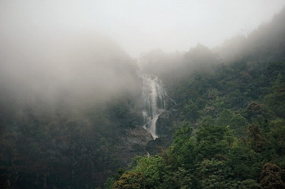 Love Waterfall Sapa 2026 Guide: Tickets, Swimming, and the Easy Forest Trek