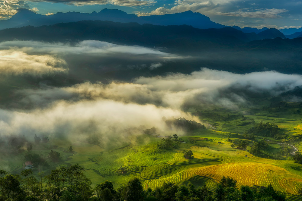 Explore Muong Hoa Valley: Your Guide to Trekking, Homestays & More