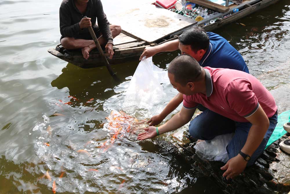 Ong Tao Kitchen God. Witnessing the carp release