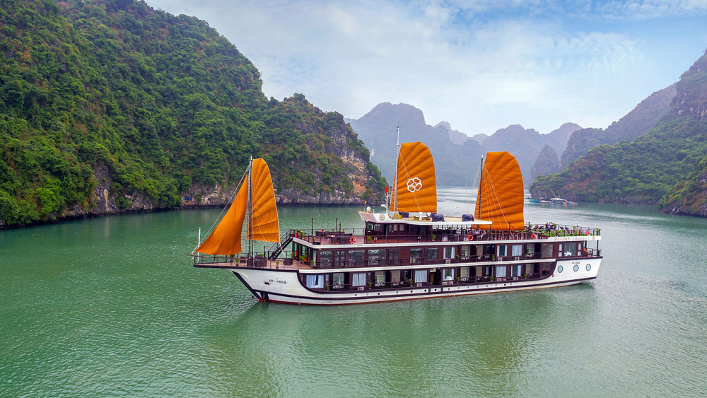 Peony cruise. Peony Cruise Halong Bay: An Overview. The Peony Cruise Experience