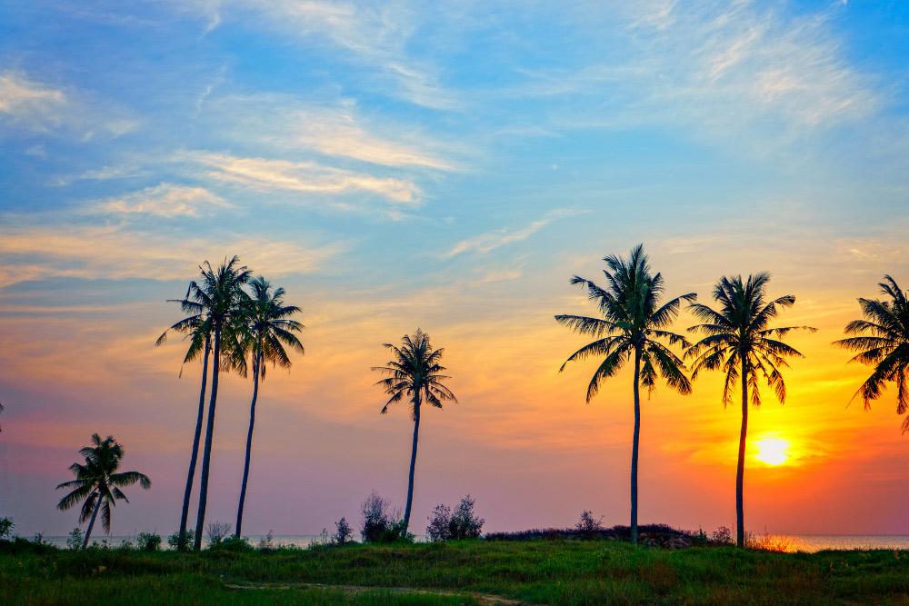 Phu Quoc Beaches Table. Asia Mystika Insider Tips: What They Do Not Tell You on the Official Site