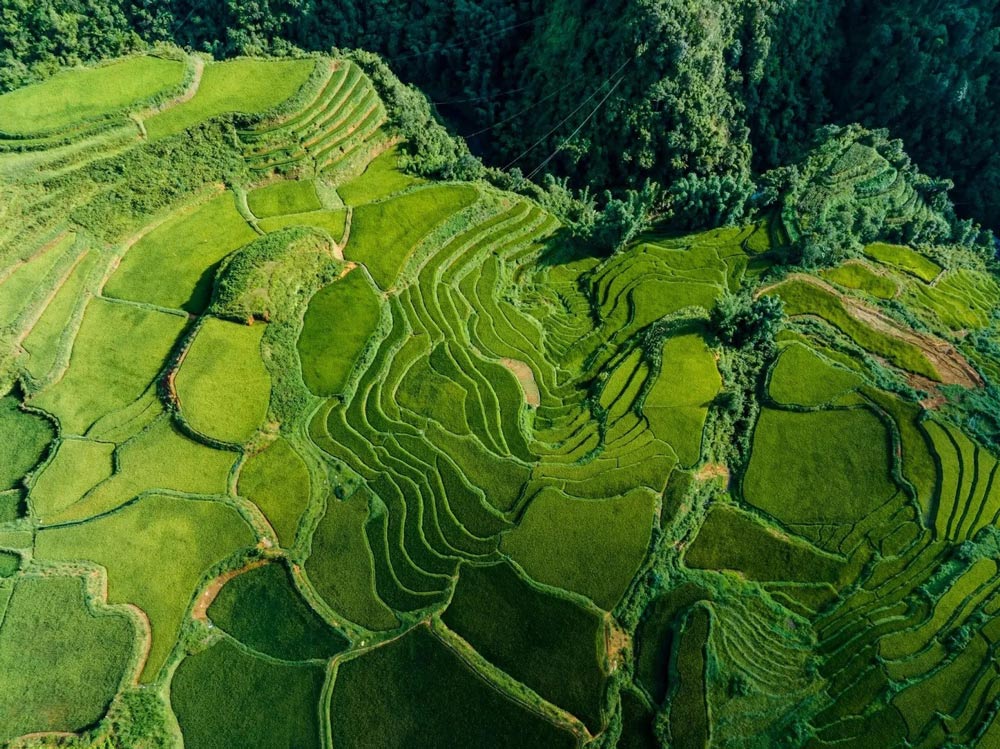 Rainy Season in Sapa Vietnam. Asia Mystika Insider Advice: The Rainy Season Reality Check