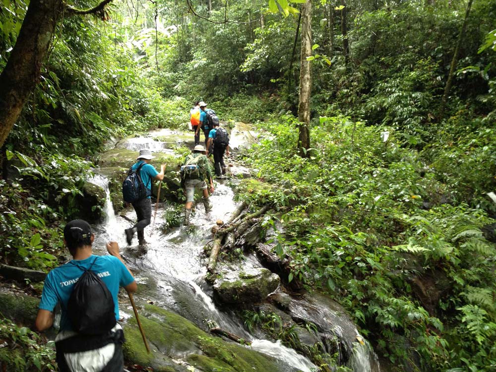 Rainy Season in Sapa Vietnam. Is It Worth Visiting Sapa During Rainy Season?
