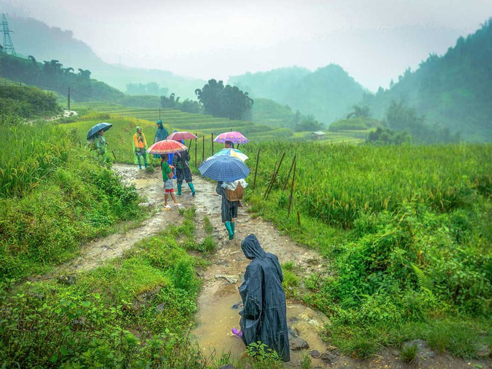 Rainy Season in Sapa Vietnam. What Should You Pack for Sapa’s Rainy Season?