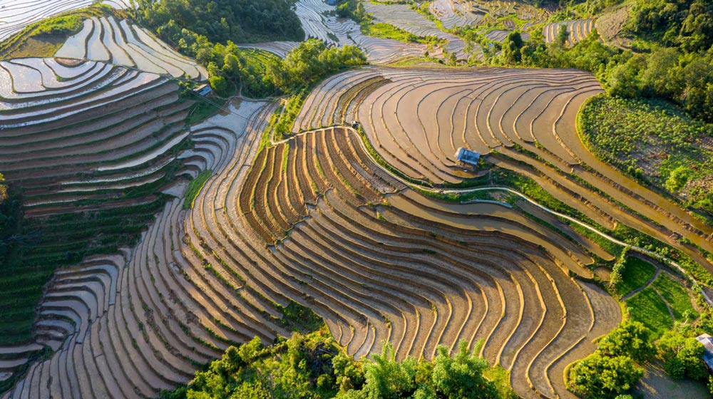 Rainy Season in Sapa, Vietnam 2026: When It Rains and How to Plan
