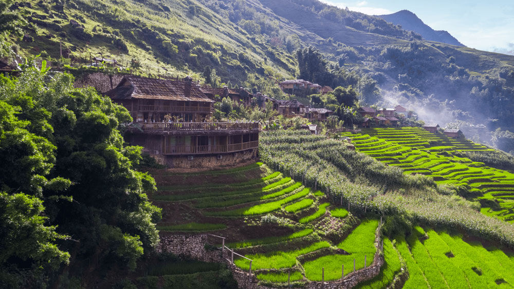 Sapa Ecolodge. The Luxury Contender: Laxsik Ecolodge Sapa