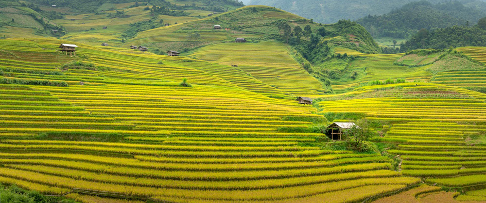 Sapa from Hanoi. Frequently Asked Questions