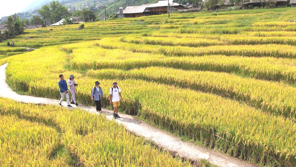 Sapa Holiday Packages. FAQ: Your Sapa and Vietnam Travel Questions Answered