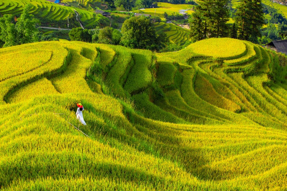 Sapa in August. Frequently Asked Questions