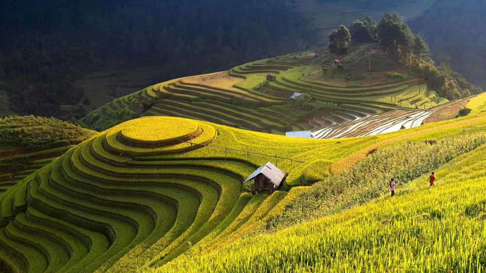 Sapa in August. Is Sapa Good in August?