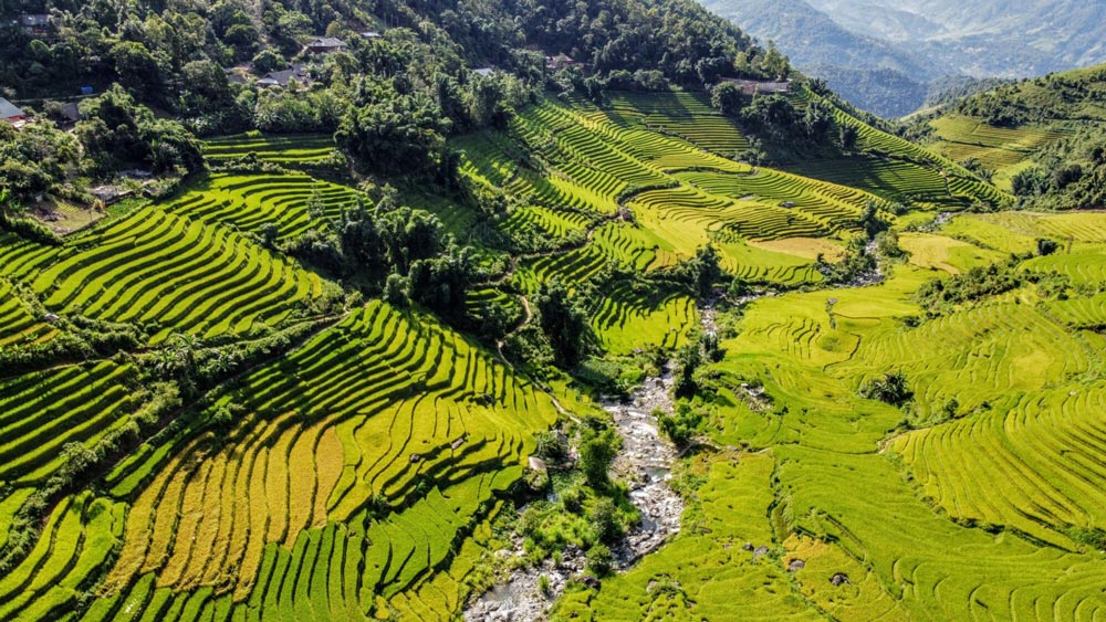 Sapa in August. Sapa Vietnam Weather in August: Temperatures and Rain