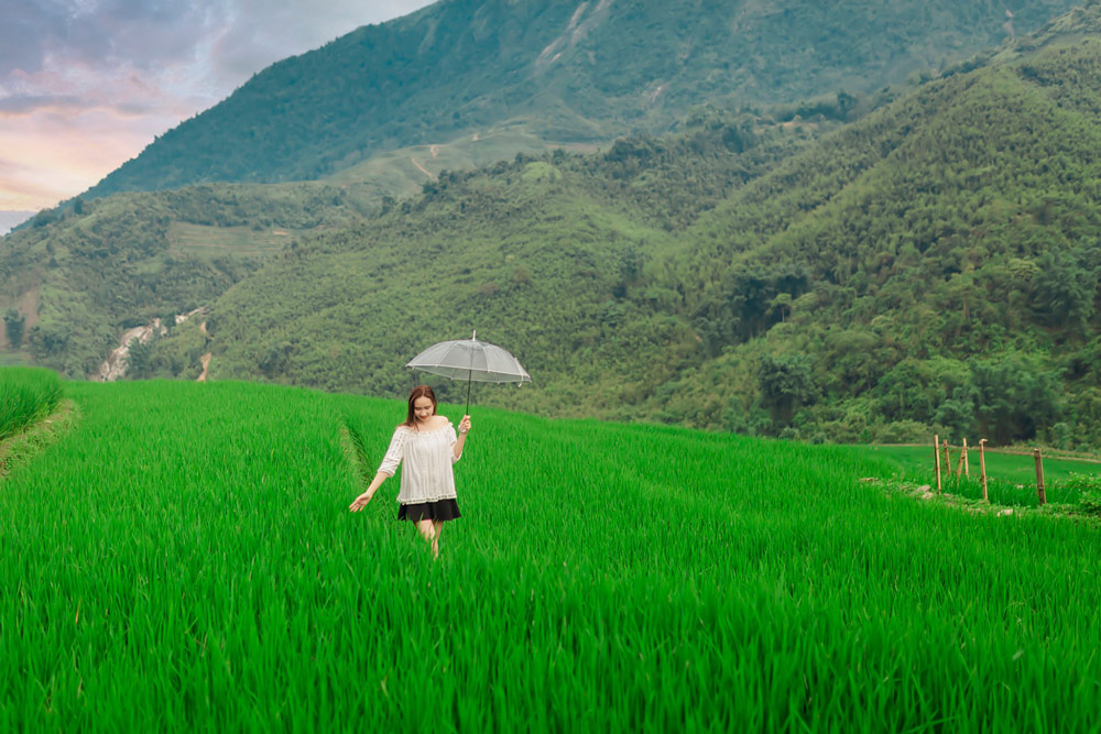 Sapa in August 2026: Weather, Golden Rice and Is It Worth the Rain?
