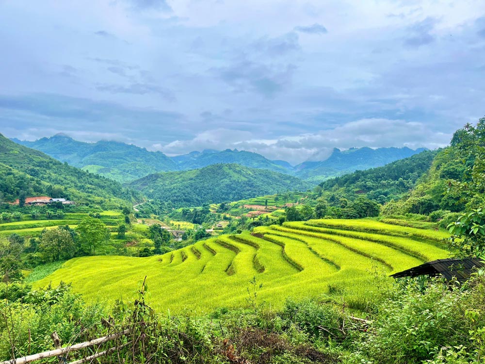 Sapa in September. Asia Mystika Insider Advice: The September Reality Check