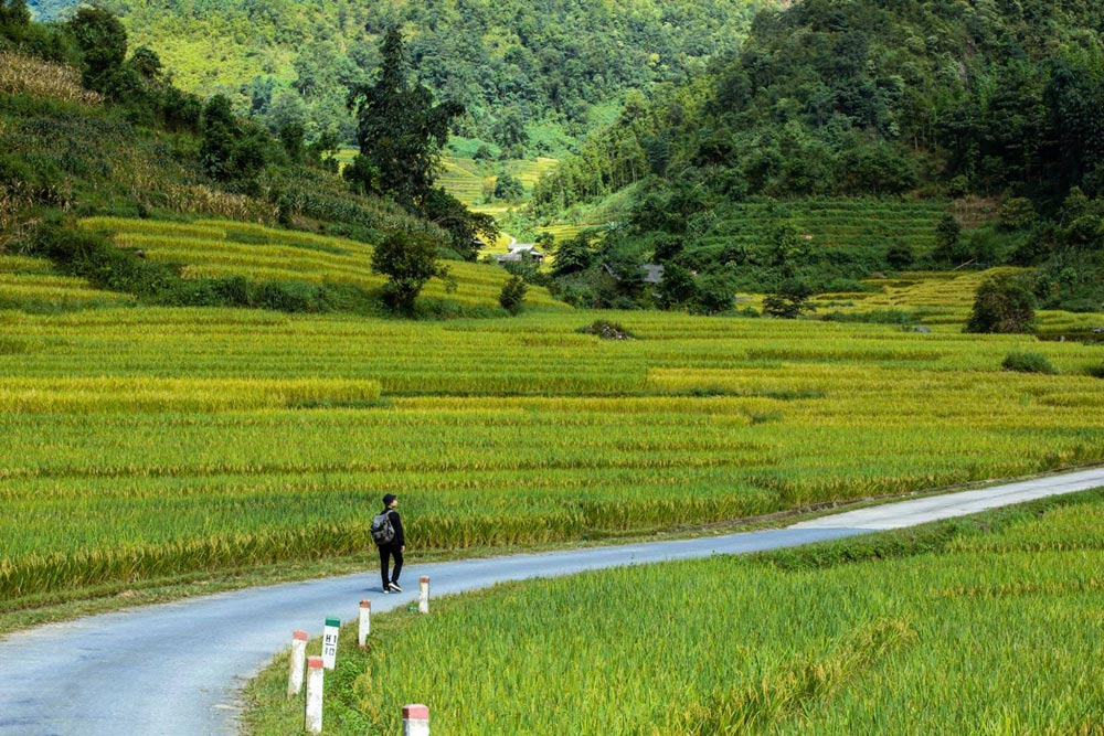 Sapa in September. Is September a Good Time to Visit Sapa?
