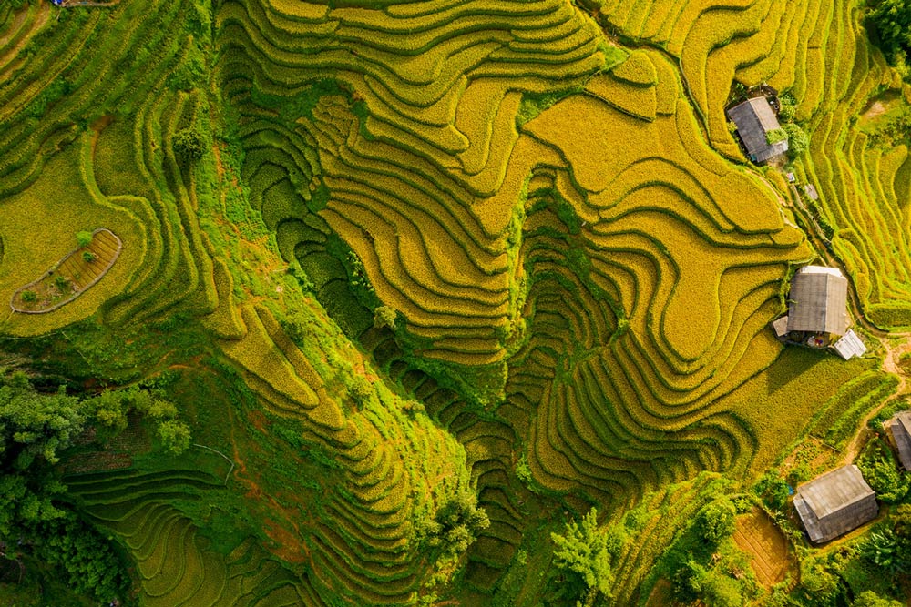 Sapa in September. What Is the Weather Like in Sapa in September? Temperatures and Climate